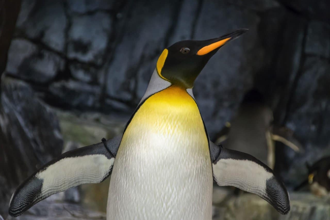 KVM Installation Guide | Linux Virtualization Setup