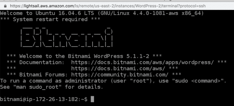 SSH terminal interface for Bitnami WordPress on AWS Lightsail showcasing welcome message and command prompt