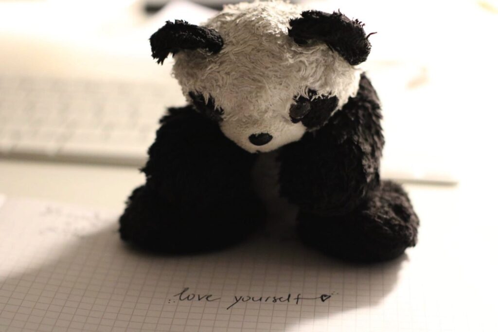 "Stuffed panda on notebook, symbolizing learning with Python Pandas tutorial."