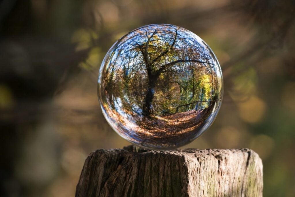 "Crystal ball reflecting a forest, symbolizing the concept of a Python virtual environment creating isolated spaces for development."