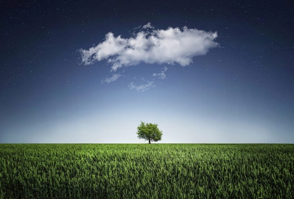 "Lonely tree under cloud representing cloud computing and autoscaling WordPress on AWS."